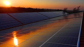 Solar+Panels+in+Sunset+Light.jpg